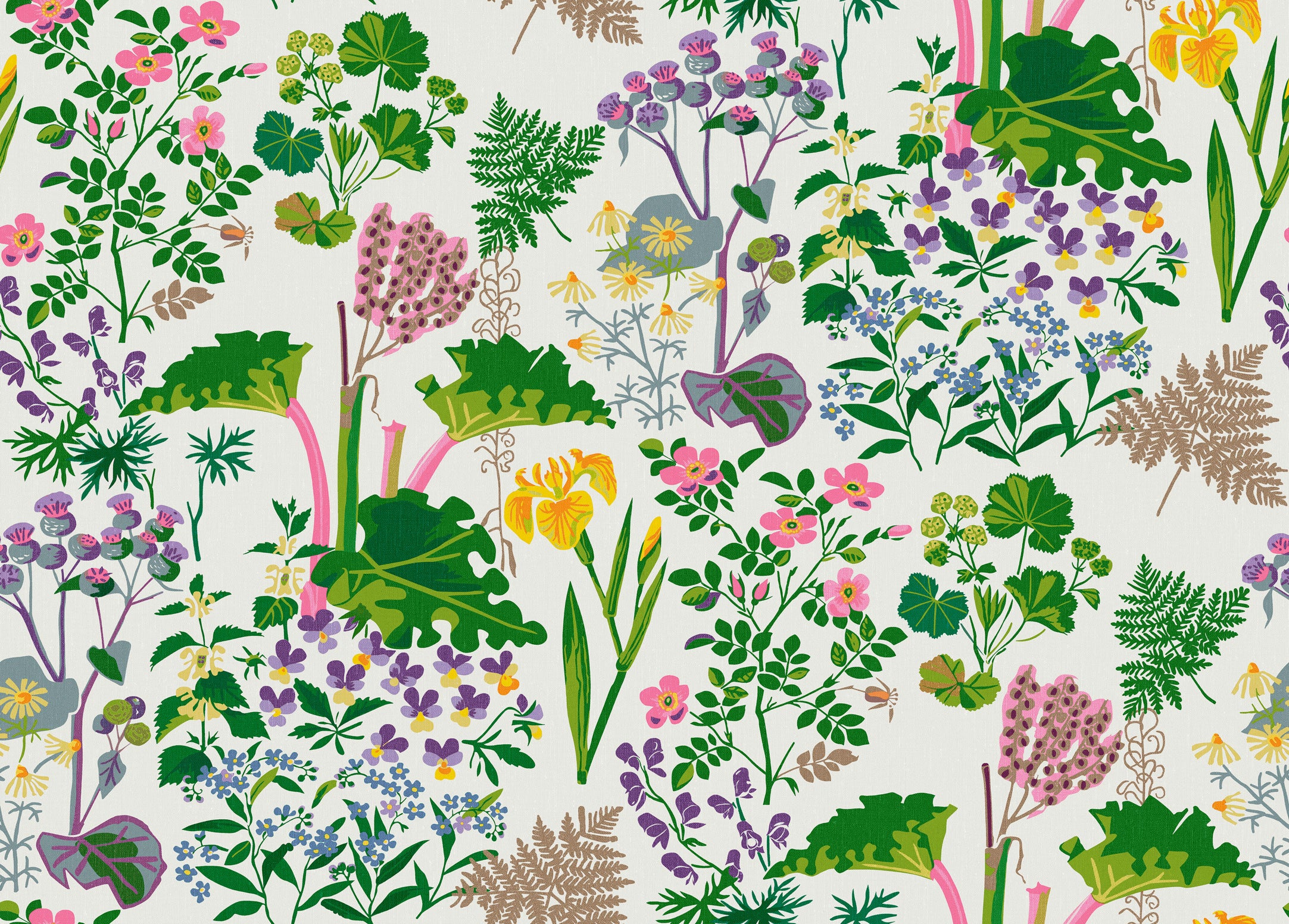 Gocken Jobs Rabarber, vit/grön