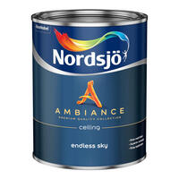 Ambiance Endless Sky