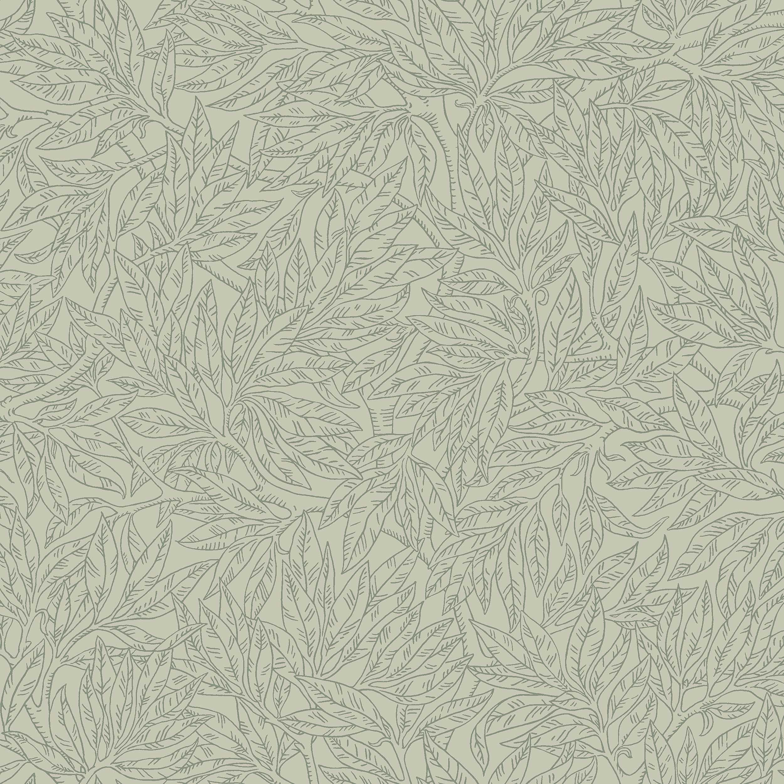 Salix Alba, grön