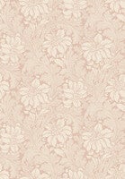 Acanthus storblommig, beige/dovt rosa