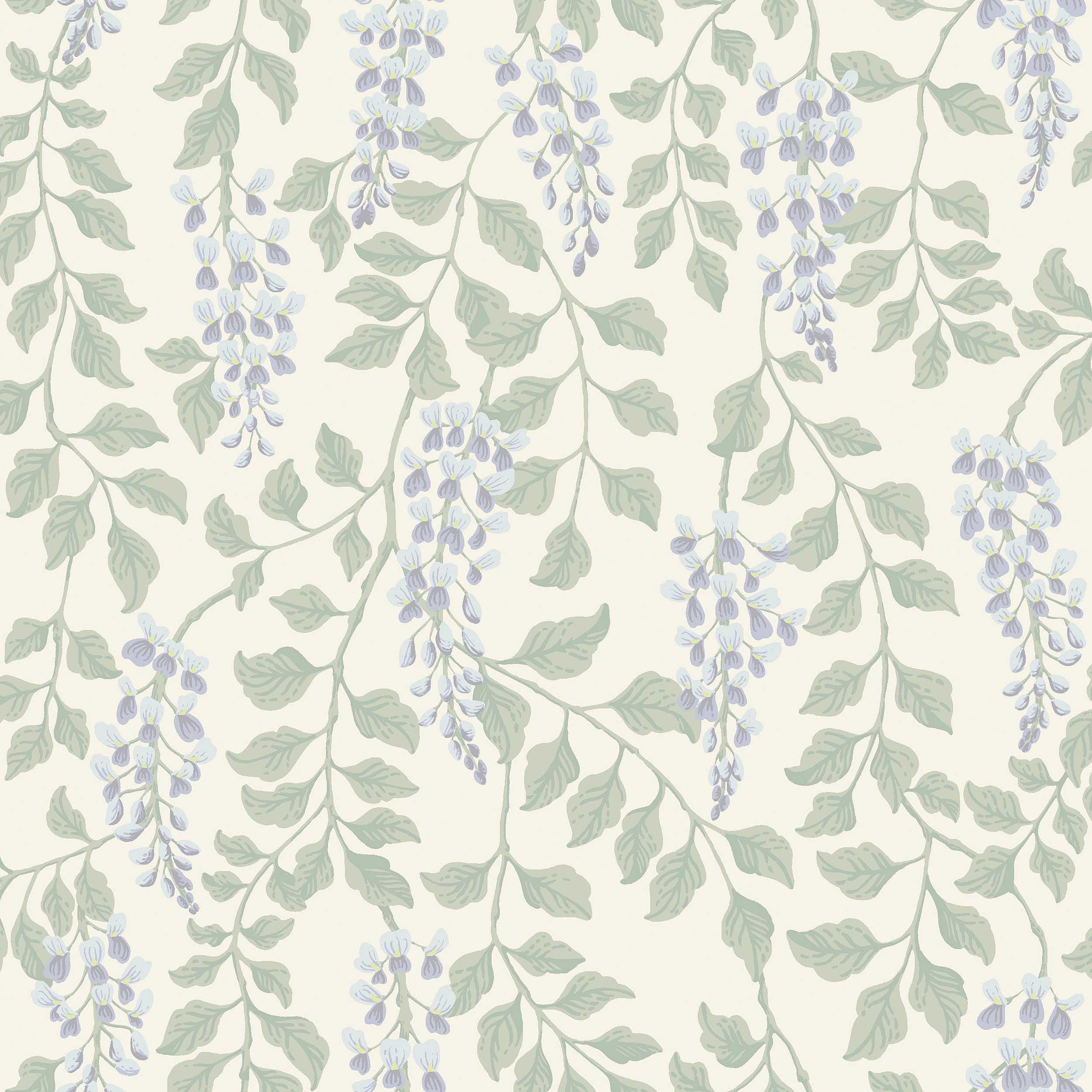 Blåregn, Blå