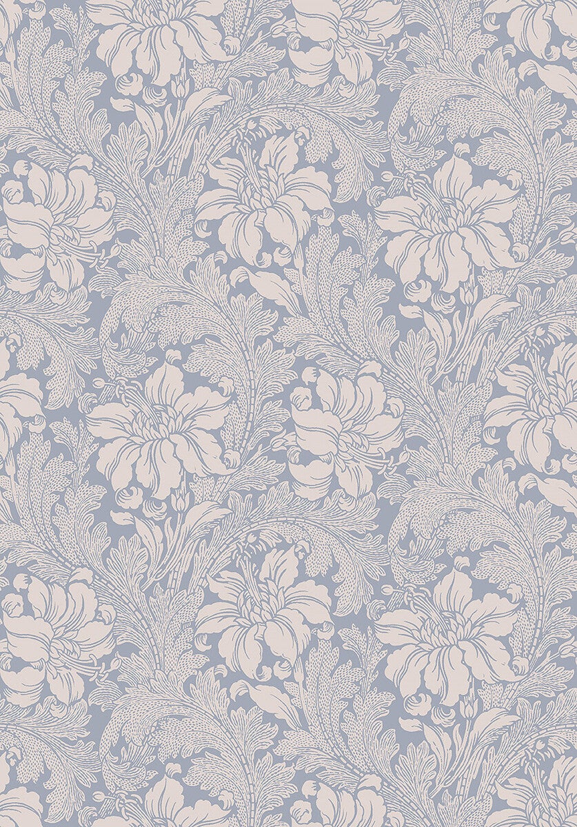 Acanthus storblommig, blå/beige