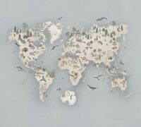 Little Explorer Mural