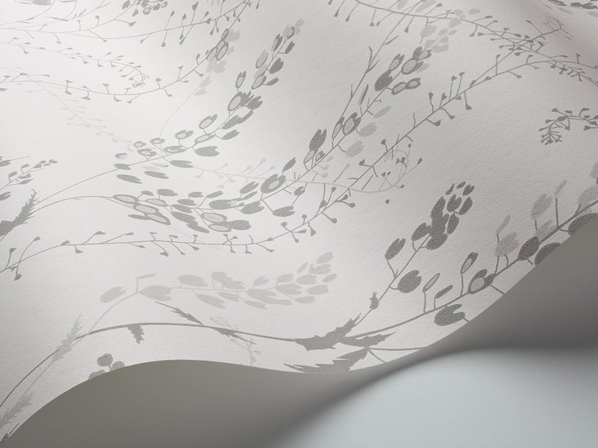 Bladranker, vit/grå