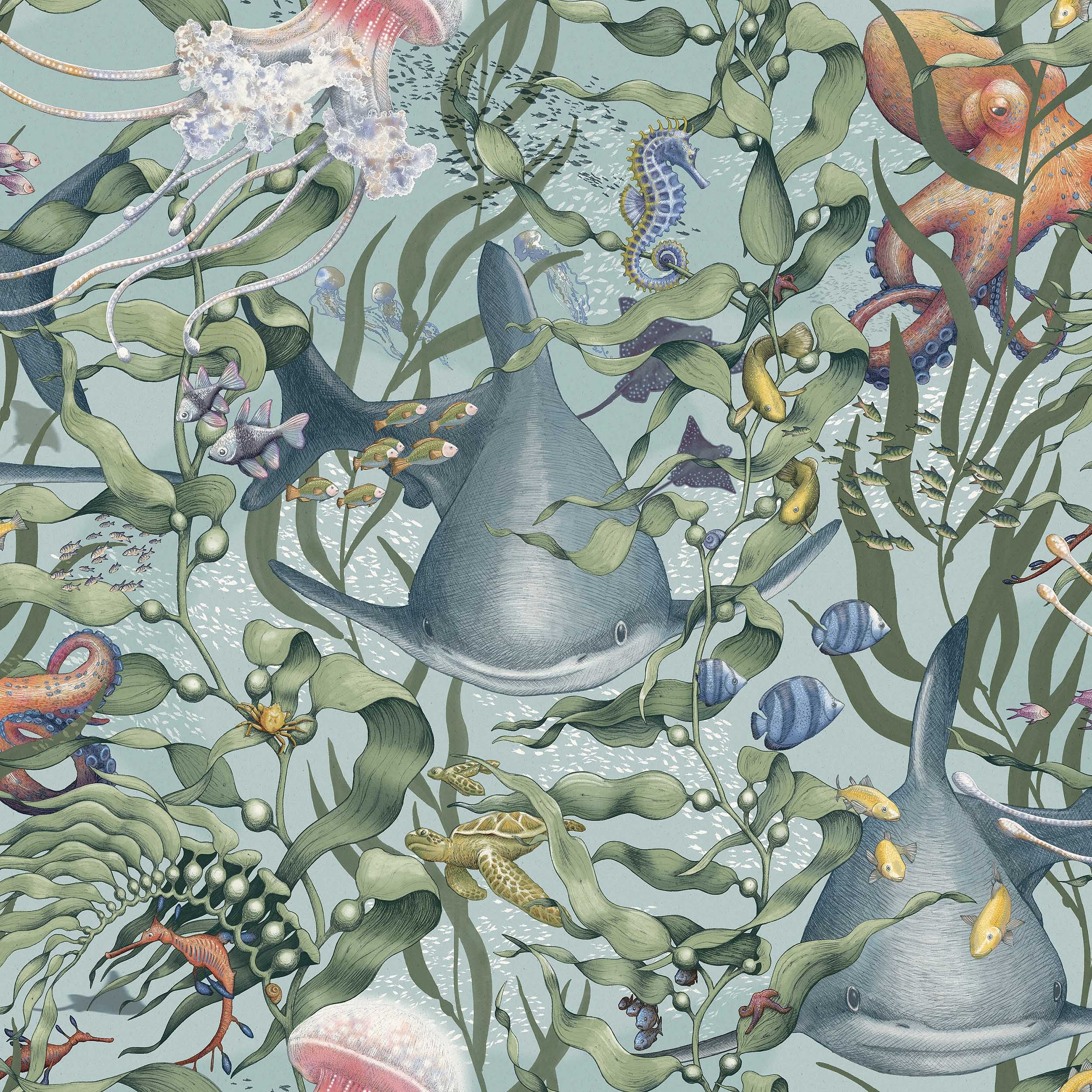 Underwater Magic, Turkos