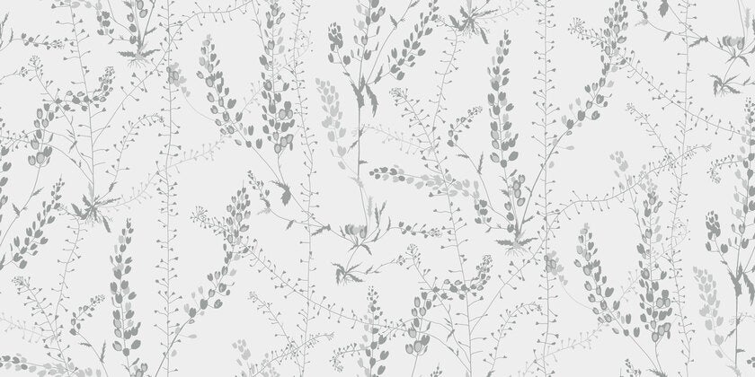 Bladranker, vit/grå