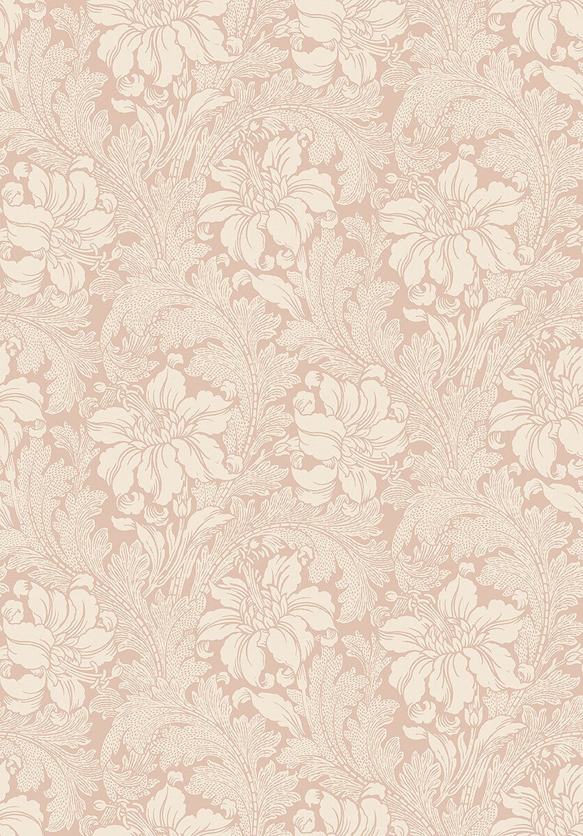 Acanthus storblommig, beige/dovt rosa